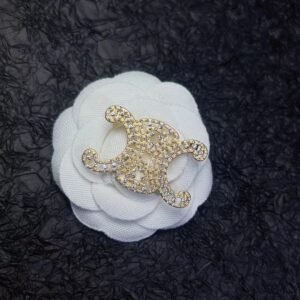 Celine New Brooch 2026: Triomphe Emblem with Crystal Inlay & Gold Frame